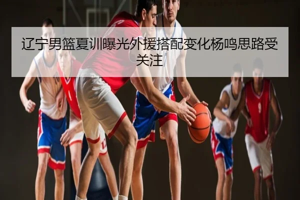 辽宁男篮夏训曝光外援搭配变化杨鸣思路受关注