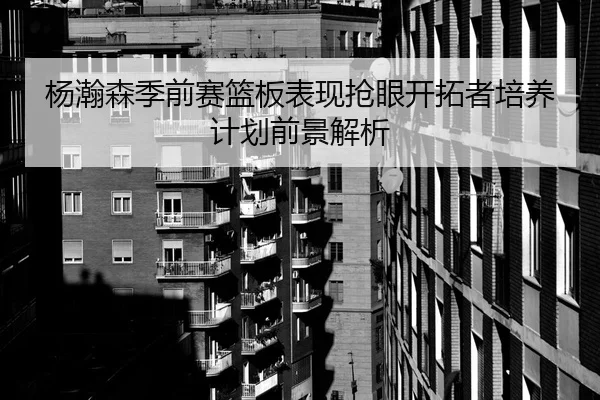 杨瀚森季前赛篮板表现抢眼开拓者培养计划前景解析